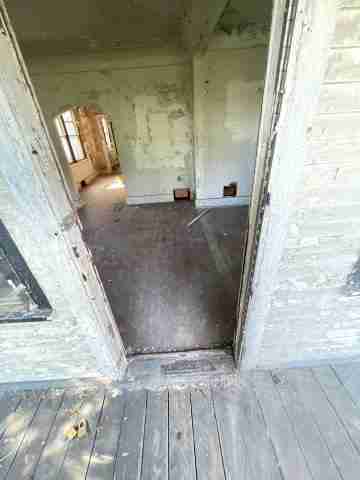 17257 bloom (19).jpg